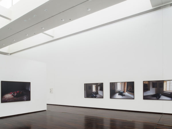 Corps de Masse (Photography) at the MAC/VAL (contemporary art museum - Vitry-sur-Seine, France)