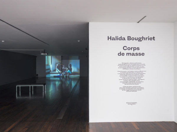  Installation view : Corps de Masse at the MAC/VAL (contemporary art museum - Vitry-sur-Seine, France)