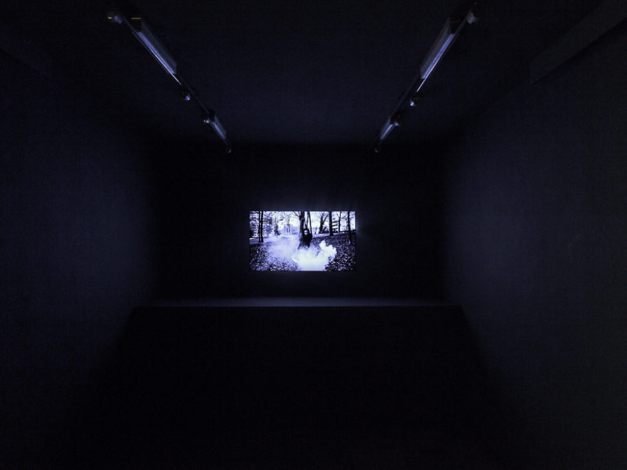 Lamma bada, For what appeared to be, 2019 - B&W Video, HD, Sound