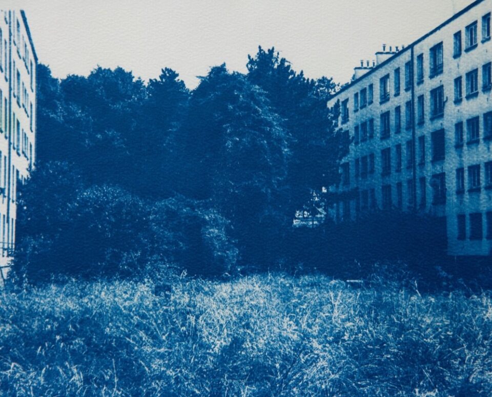 Landscape under occupation